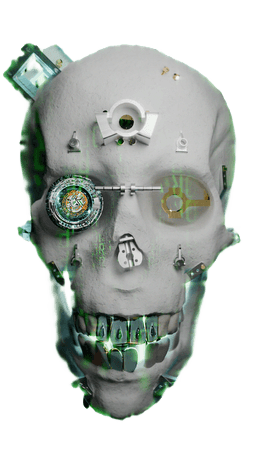 Skull