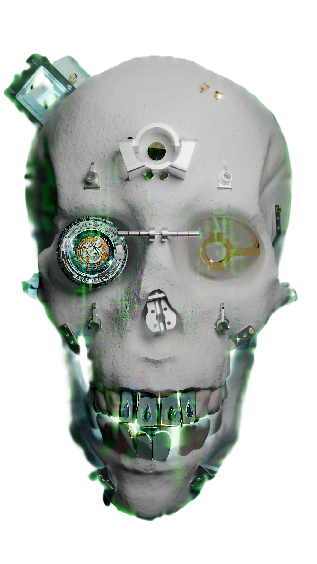 Skull